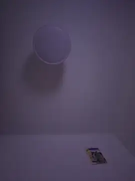 gigolobcn online show from February 22, 2026, 5:33 pm