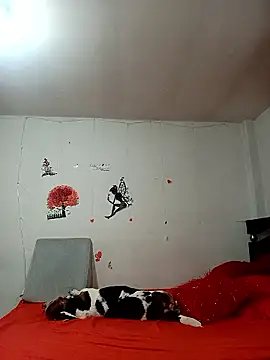 Snapshot of Lady_16 chatting on January 6, 2026, 1:53 am Lady 16 online show from January 6, 2026, 1:53 am