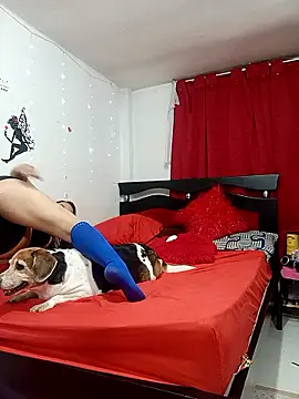 Snapshot of Lady_16 chatting on February 13, 2026, 4:30 am Lady 16 online show from February 13, 2026, 4:30 am