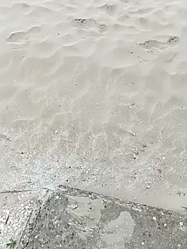 pegaso369 online show from September 22, 2025, 1:13 pm