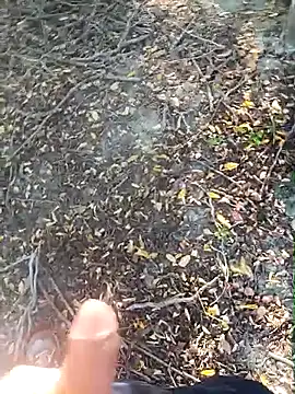 pegaso369 online show from October 15, 2025, 2:28 pm