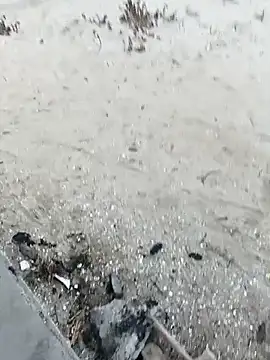 pegaso369 online show from October 29, 2025, 3:36 pm