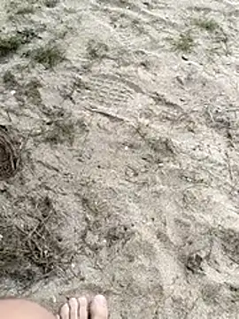 pegaso369 online show from February 26, 2026, 11:31 am