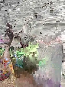 pegaso369 online show from June 16, 2026, 2:52 pm