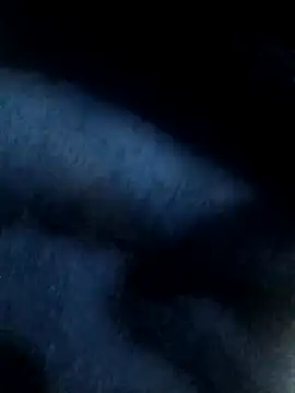 Snapshot of Anamika-singhania chatting on November 30, 2025, 12:53 pm Anamika-singhania online show from November 30, 2025, 12:53 pm