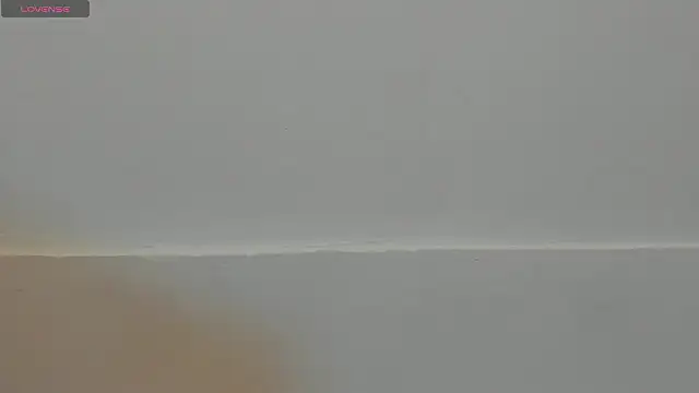 VioletRose as online show from February 11, 2026, 8:03 pm