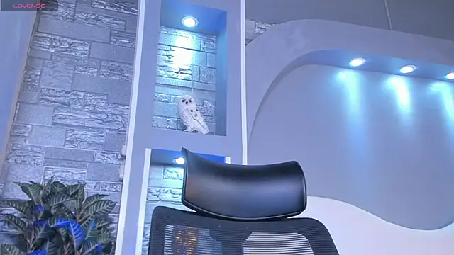 dominic de luca online show from April 22, 2026, 4:04 am