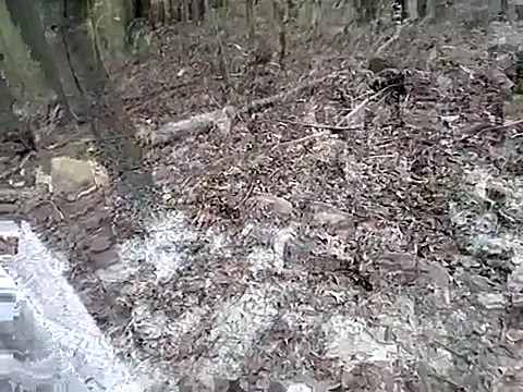 Snapshot of fischnet chatting on September 20, 2025, 10:55 pm fischnet online show from September 20, 2025, 10:55 pm