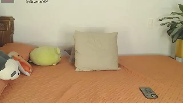 Snapshot of Raven06_ chatting on November 11, 2025, 12:10 am Raven06 online show from November 11, 2025, 12:10 am