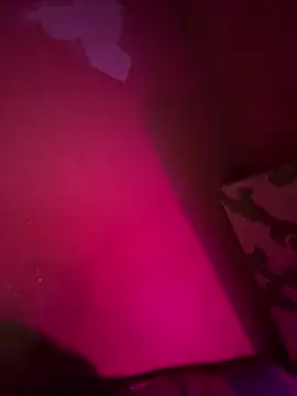 saumon3022 online show from September 16, 2025, 8:54 pm