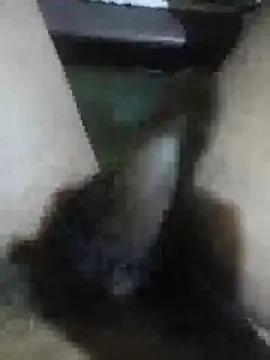 Vizgeboys online show from February 28, 2026, 9:43 am