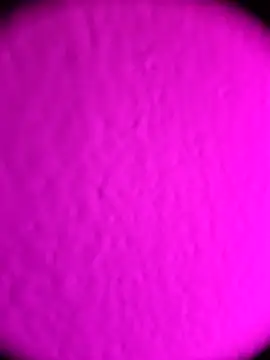 Michou02xXx online show from February 18, 2026, 4:52 am