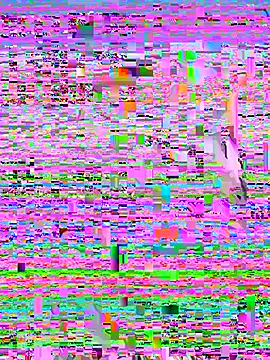 Rouse69  online show from November 14, 2025, 1:32 pm