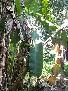 Snapshot of anastasia_cums chatting on October 17, 2025, 5:54 am anastasia cums online show from October 17, 2025, 5:54 am