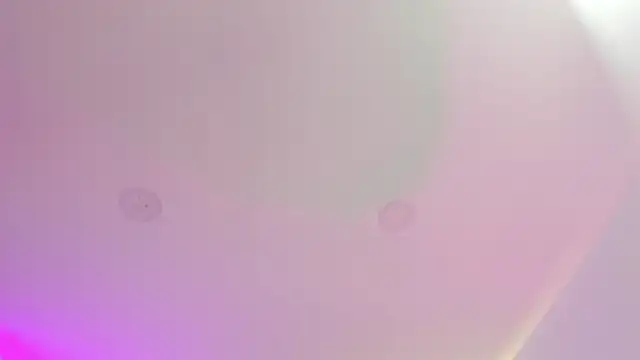 Snapshot of Cherrydollxx chatting on September 25, 2025, 11:58 am Cherrydollxx online show from September 25, 2025, 11:58 am