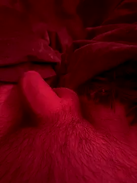 couplefuck   online show from December 16, 2025, 7:57 am