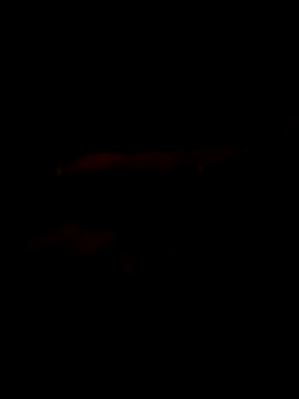 Snapshot of Marco0sss chatting on February 8, 2026, 9:02 am Marco0sss online show from February 8, 2026, 9:02 am