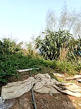 linda bae00 online show from March 2, 2026, 7:15 am