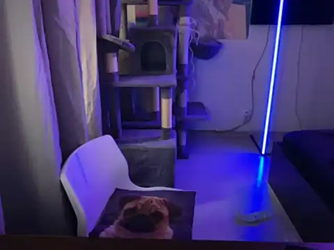 davesinner online show from March 2, 2026, 7:15 am