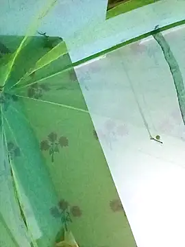 Apkisona8 online show from November 18, 2025, 5:06 pm