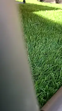 Worppp online show from March 18, 2026, 2:31 pm