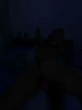 Snapshot of DALEX65 chatting on December 17, 2025, 6:47 pm DALEX65 online show from December 17, 2025, 6:47 pm