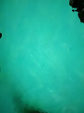 Arti13A online show from January 17, 2026, 3:17 pm