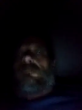 Potch8duim online show from October 6, 2025, 7:55 pm