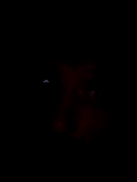 Potch8duim online show from November 2, 2025, 7:49 pm