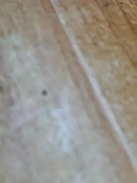 Snapshot of Markroco696 chatting on October 9, 2025, 4:10 am Markroco696 online show from October 9, 2025, 4:10 am