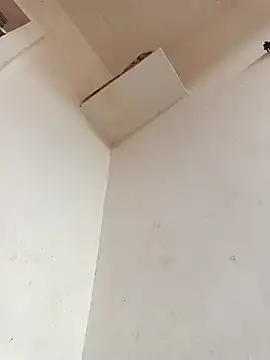 Snapshot of Dikchahot chatting on November 11, 2025, 10:26 am Dikchahot online show from November 11, 2025, 10:26 am