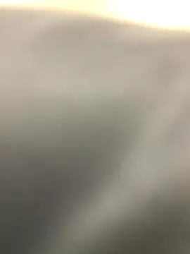    sab60    online show from November 28, 2025, 2:53 pm