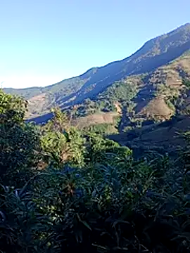 Snapshot of misa_00 chatting on November 29, 2025, 1:08 am misa 00 online show from November 29, 2025, 1:08 am