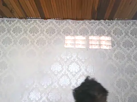 leandro477 online show from September 13, 2025, 9:14 pm