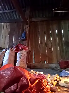 Ngocmi909 online show from December 13, 2025, 11:32 pm