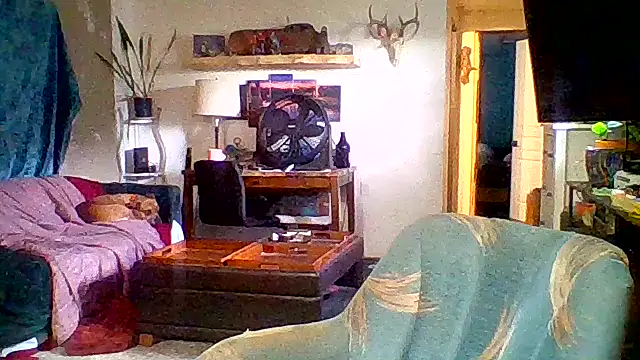 cutiekayls online show from June 22, 2026, 9:01 pm