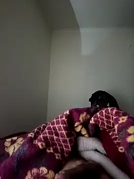 Snapshot of bomcasal chatting on February 17, 2026, 11:00 pm bomcasal online show from February 17, 2026, 11:00 pm