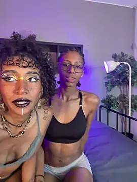 lynx sun online show from February 4, 2026, 9:42 pm