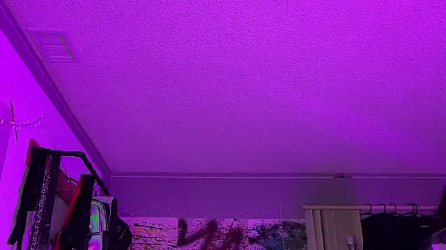 xoFrankie online show from November 16, 2025, 5:13 am