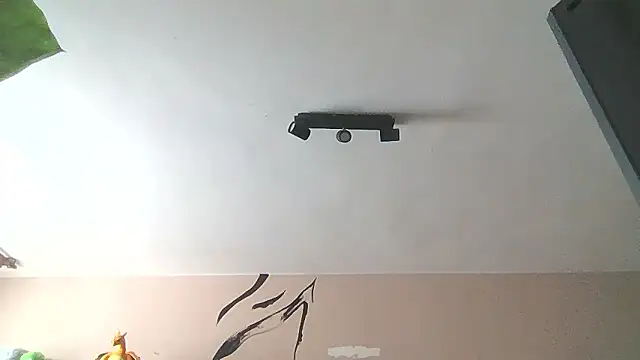   Leyla   online show from January 12, 2026, 12:21 pm