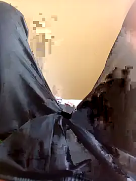 WrinkledTriops online show from March 29, 2026, 9:09 am