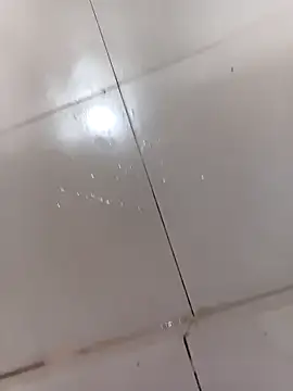 WrinkledTriops online show from March 31, 2026, 4:13 am