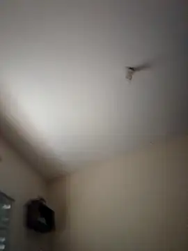 Snapshot of Psvsecreto chatting on November 6, 2025, 3:24 pm Psvsecreto online show from November 6, 2025, 3:24 pm