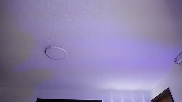  Charlotte Collins  online show from November 3, 2025, 2:29 pm