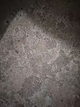 sexy  girls98 online show from February 6, 2026, 11:46 am