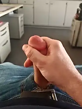 stunning stallion online show from February 25, 2026, 4:38 pm