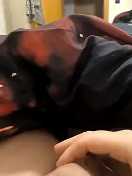 Leahcim84 online show from December 4, 2025, 4:55 am