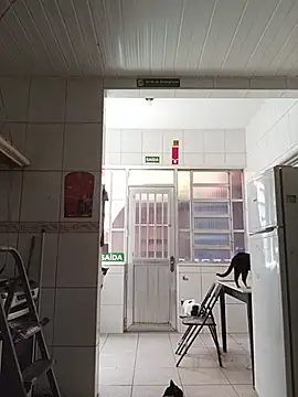 dinho carioca online show from February 13, 2026, 12:12 pm