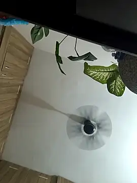 Snapshot of Spoorthi6_Kannada_Telugu chatting on March 8, 2026, 4:33 pm Spoorthi6 Kannada Telugu online show from March 8, 2026, 4:33 pm