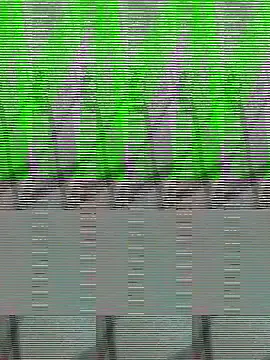 Snapshot of Payal950 chatting on October 22, 2025, 1:33 pm Payal950 online show from October 22, 2025, 1:33 pm